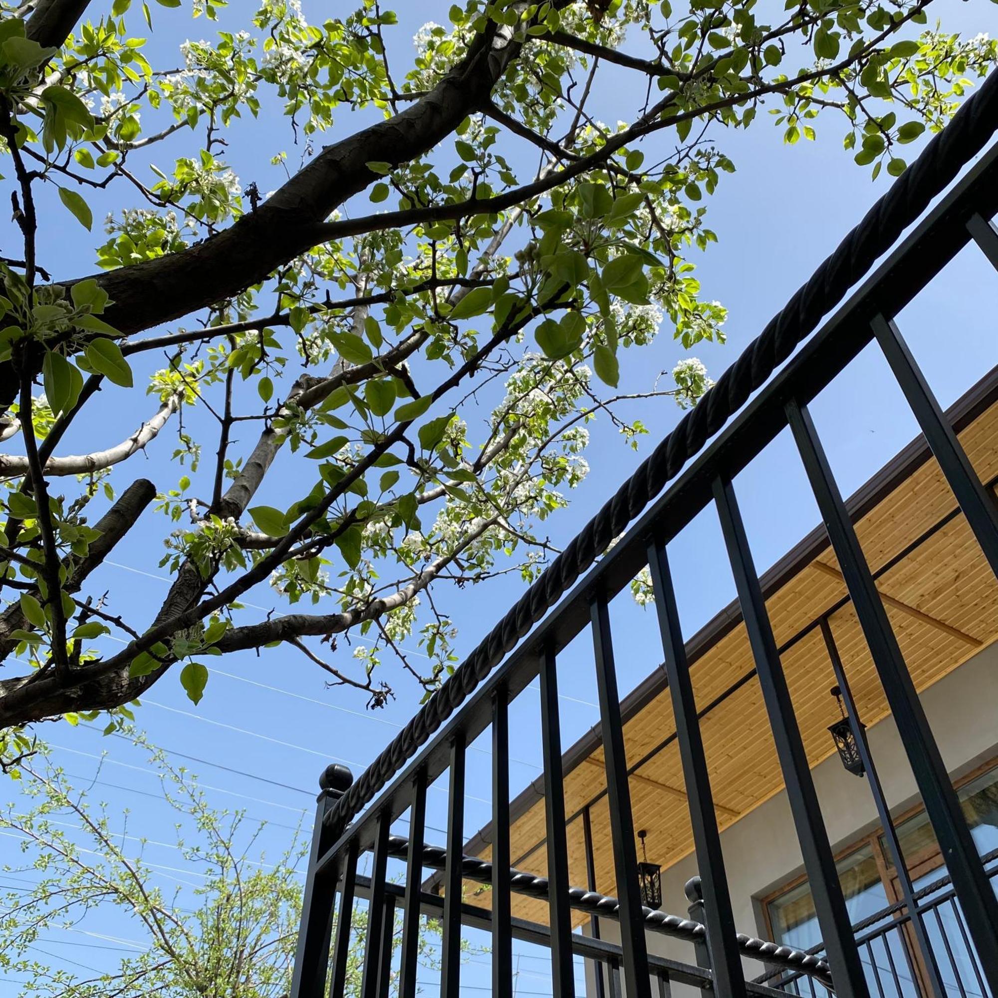 Nur Guest House Gyumri Exterior foto